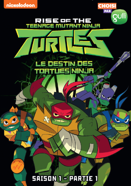 3309450046154_Le Destin des Tortues Ninja_Coffret_2D_DEF